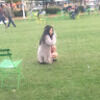 emely902326